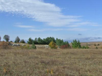 Прикрепленное изображение: DSCF5823.jpg